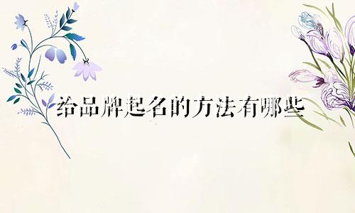 给品牌起名的方法有哪些