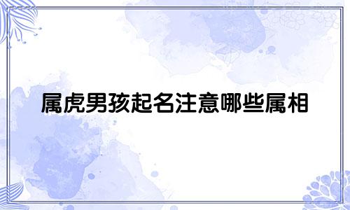 属虎男孩起名注意哪些属相