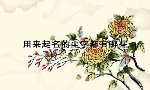 用来起名的尘字都有哪些