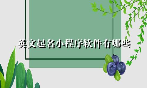 英文起名小程序软件有哪些