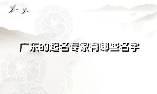 广东的起名专家有哪些名字