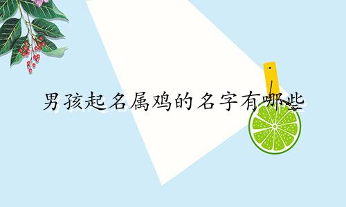 男孩起名属鸡的名字有哪些