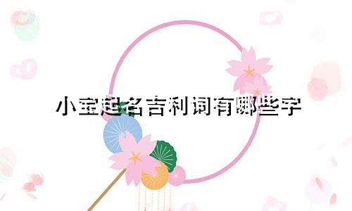 小宝起名吉利词有哪些字