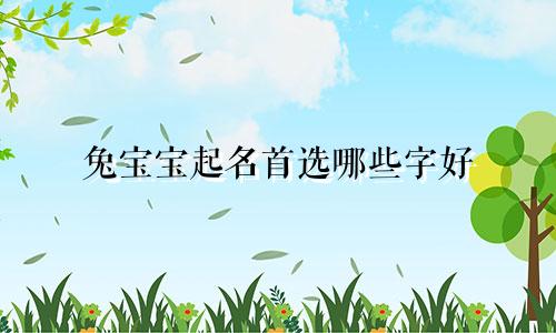 兔宝宝起名首选哪些字好