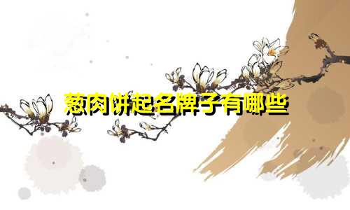 葱肉饼起名牌子有哪些