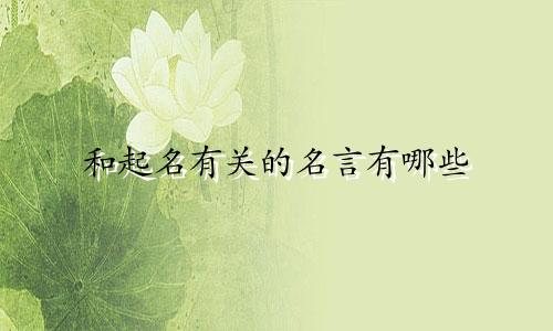 和起名有关的名言有哪些