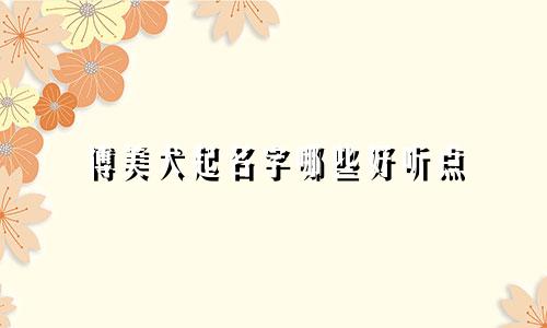 博美犬起名字哪些好听点