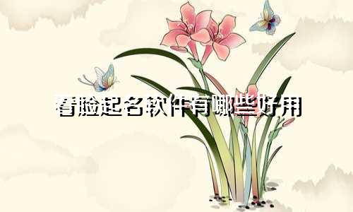 看脸起名软件有哪些好用