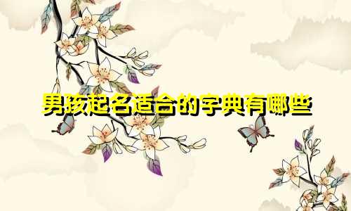 男孩起名适合的字典有哪些