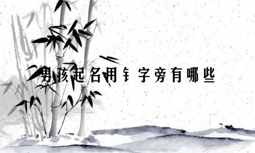 男孩起名用钅字旁有哪些