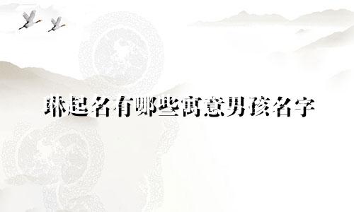 琳起名有哪些寓意男孩名字