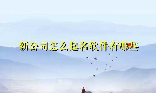 新公司怎么起名软件有哪些