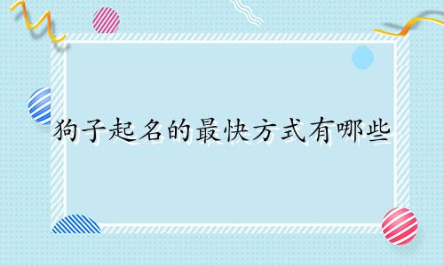 狗子起名的最快方式有哪些