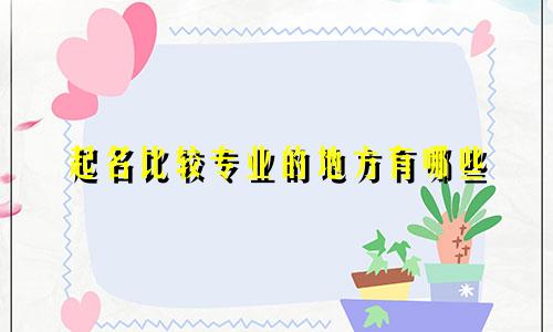 起名比较专业的地方有哪些