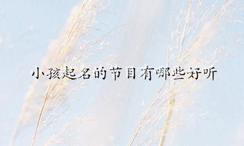 小孩起名的节目有哪些好听