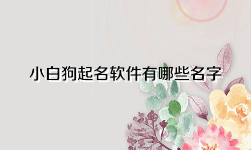 小白狗起名软件有哪些名字