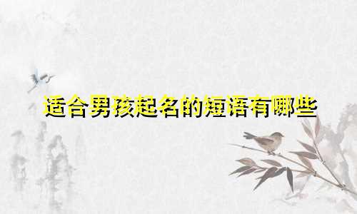 适合男孩起名的短语有哪些