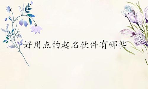好用点的起名软件有哪些
