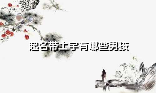 起名带土字有哪些男孩