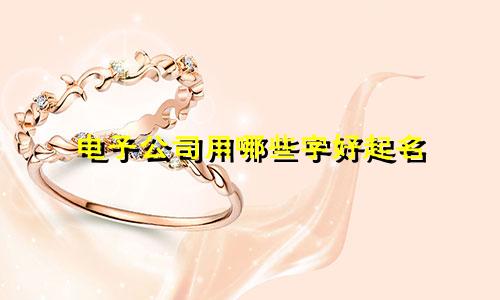电子公司用哪些字好起名
