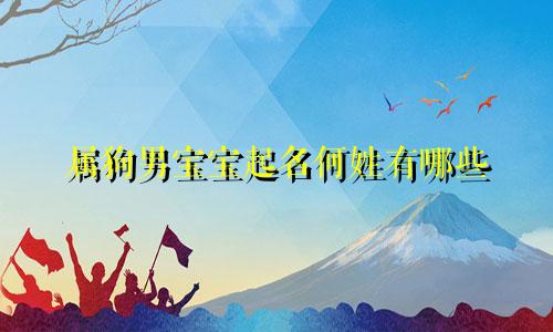 属狗男宝宝起名何姓有哪些