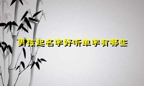 男孩起名字好听单字有哪些