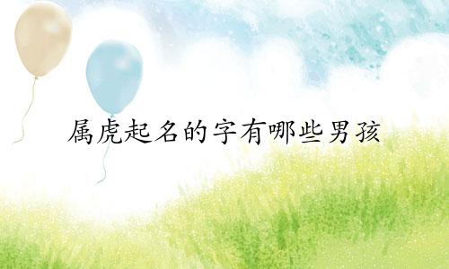 属虎起名的字有哪些男孩