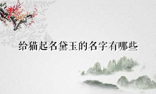 给猫起名黛玉的名字有哪些