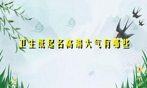 卫生纸起名高端大气有哪些