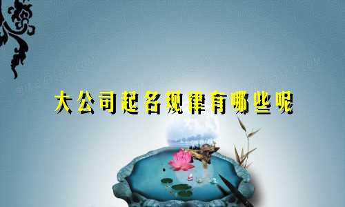 大公司起名规律有哪些呢