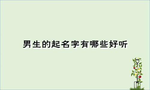 男生的起名字有哪些好听
