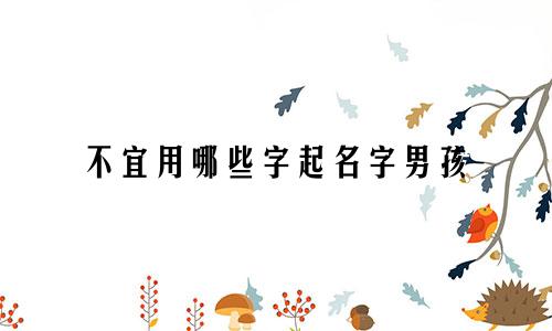 不宜用哪些字起名字男孩