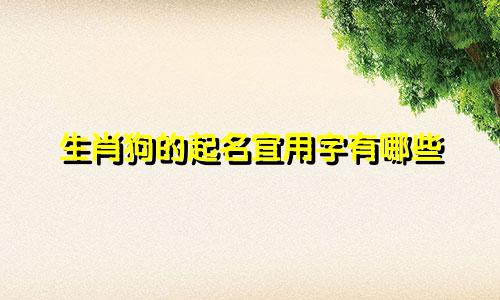 生肖狗的起名宜用字有哪些