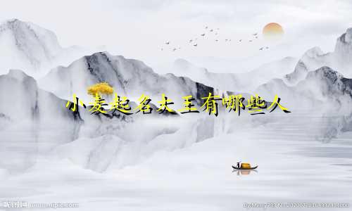 小麦起名大王有哪些人