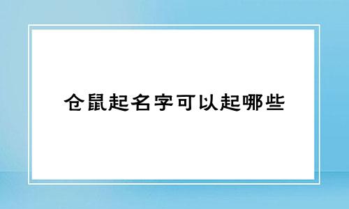仓鼠起名字可以起哪些