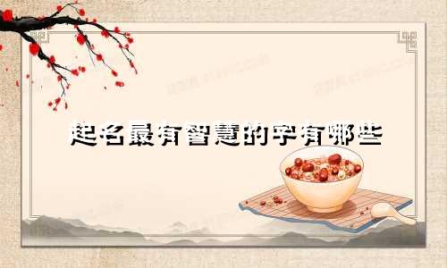 起名最有智慧的字有哪些