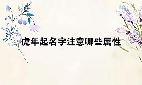 虎年起名字注意哪些属性