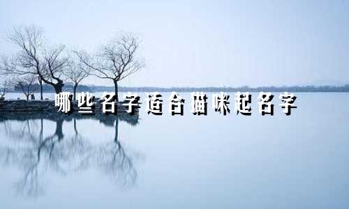 哪些名字适合猫咪起名字