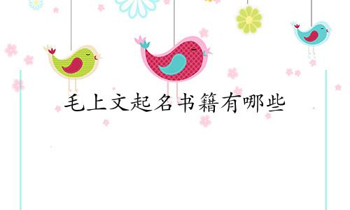 毛上文起名书籍有哪些