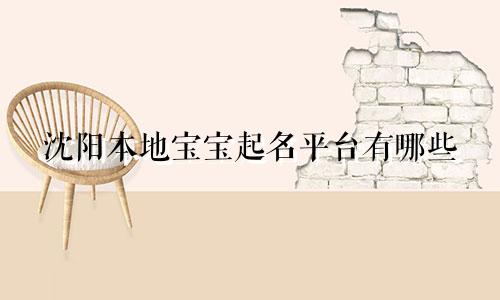 沈阳本地宝宝起名平台有哪些