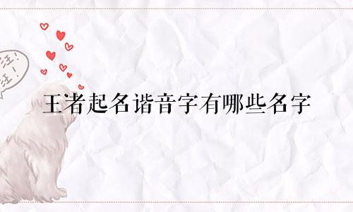 王者起名谐音字有哪些名字