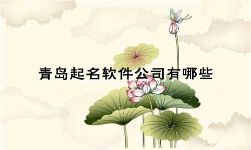 青岛起名软件公司有哪些