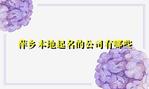 萍乡本地起名的公司有哪些