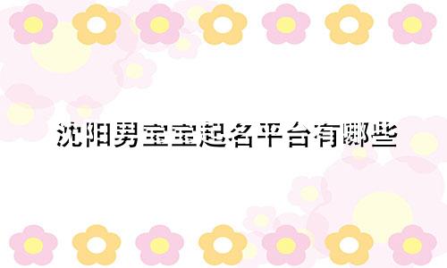 沈阳男宝宝起名平台有哪些