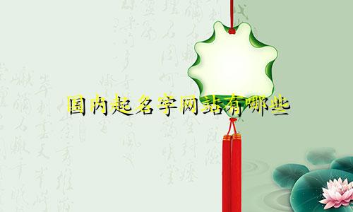 国内起名字网站有哪些