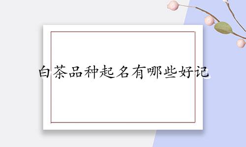 白茶品种起名有哪些好记