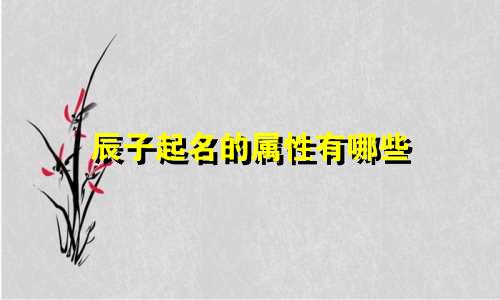 辰子起名的属性有哪些