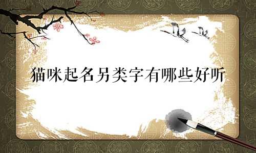 猫咪起名另类字有哪些好听