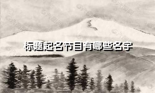 标题起名节目有哪些名字
