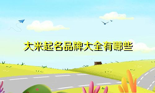 大米起名品牌大全有哪些